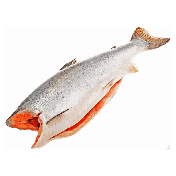 OCEAN FISH Chilled and frozen fish Կիժուչ անգլուխ K 86