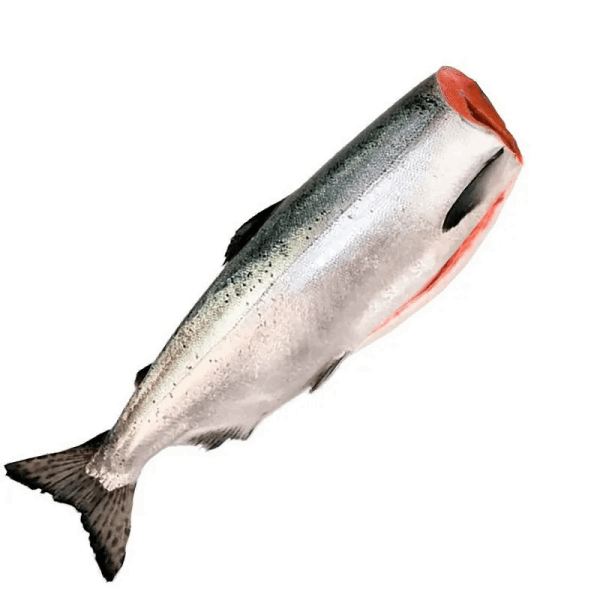 Chilled and frozen fish Գառբուշա