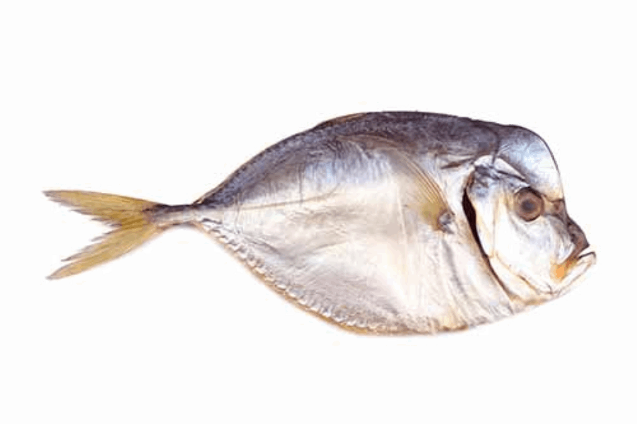 Frozen seafood Վոմեր սառեցված 150-200/ Вомер замороженный/ կգ