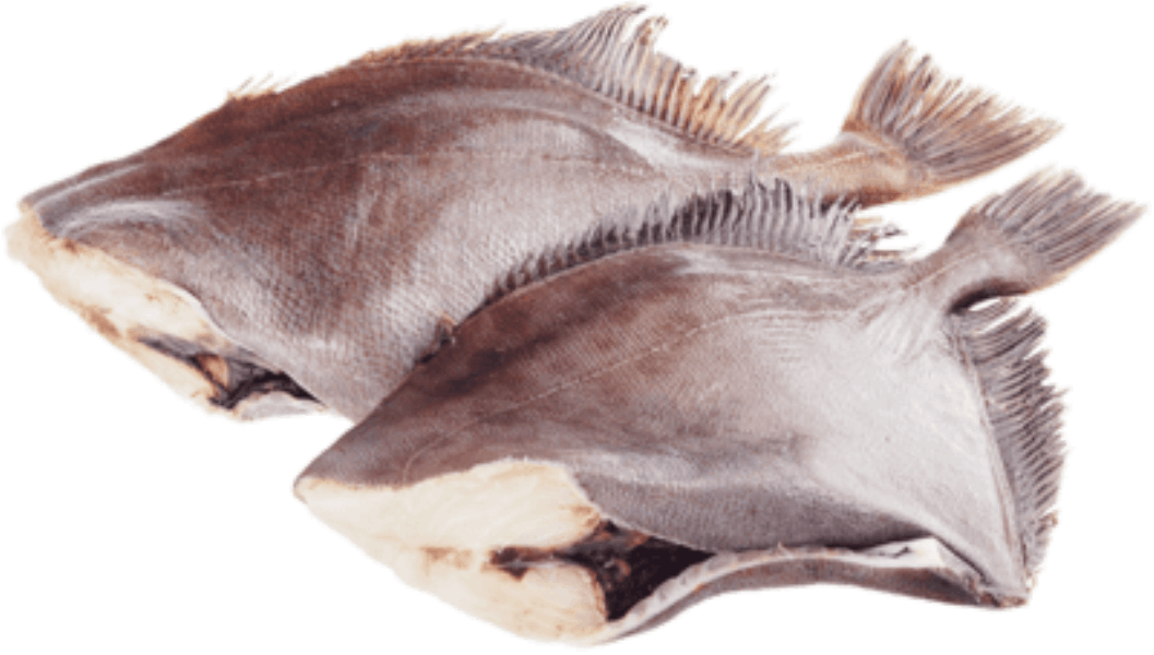 Chilled and frozen fish Դորի սառեցված