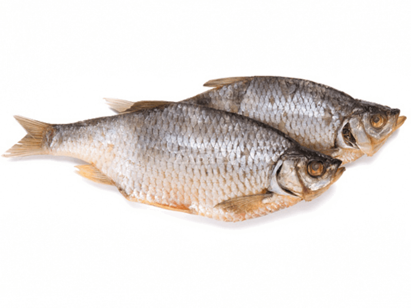 OCEAN FISH Маринованные и копчёные рыбы Կռասնապյորկա չորոցված