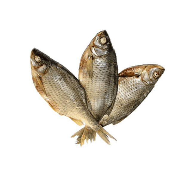 OCEAN FISH Marinated and smoked fish Լեշ միջին