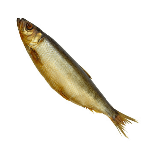 Маринованные и копчёные рыбы Ծովատառեխ ապխտած