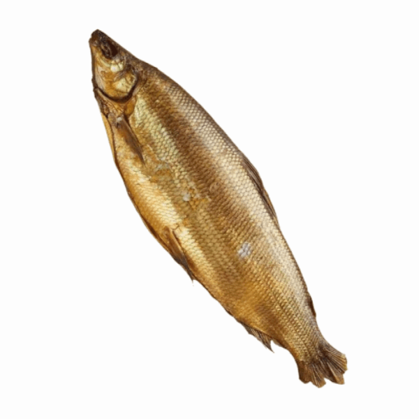 Սառեցվծ և թարմ ձկներ Սիգա ապխտած