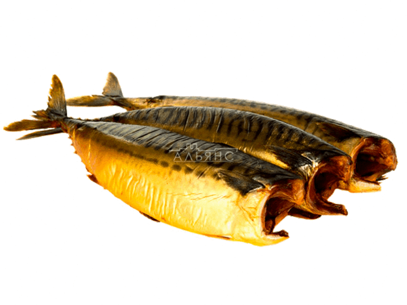 Marinated and smoked fish Սկումբրիա ապխտած