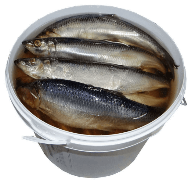 Marinated and smoked fish Ծովատառեխ մարինացված /սելդ/