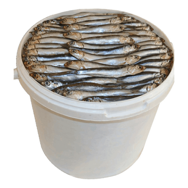 Маринованные и копчёные рыбы Խամսա մարինացված /կիլկի/