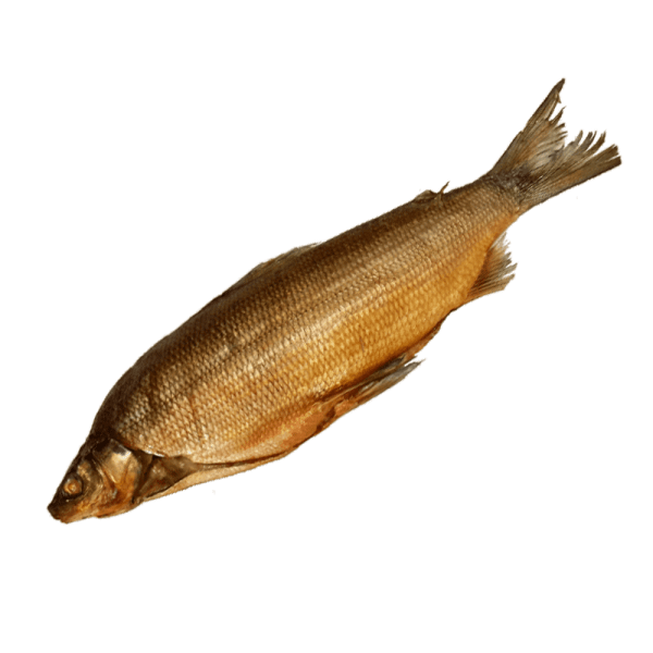 Սառեցվծ և թարմ ձկներ Սիգ սառը ապխտած