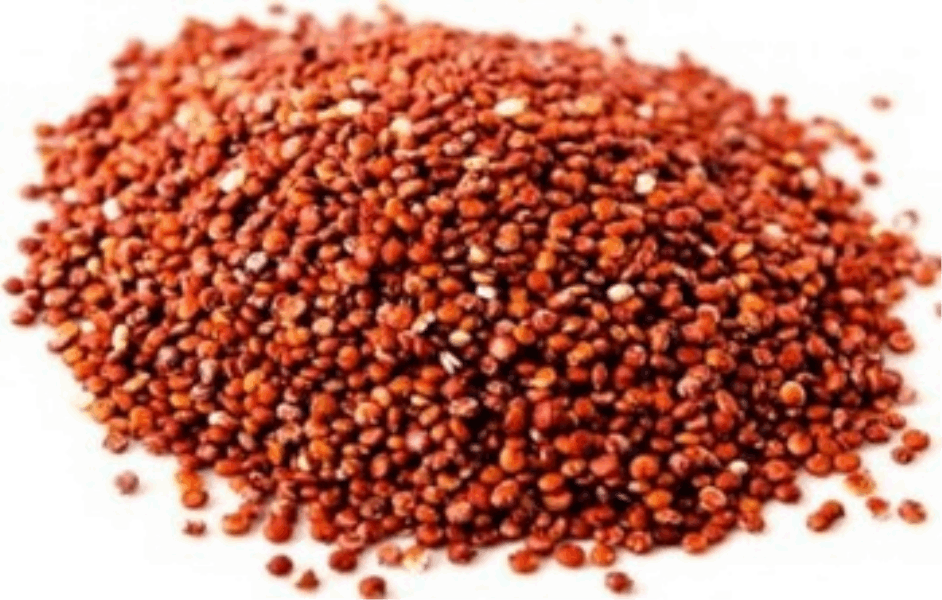 OCEAN FISH Ավելին Քենուա կարմիր 1կգ