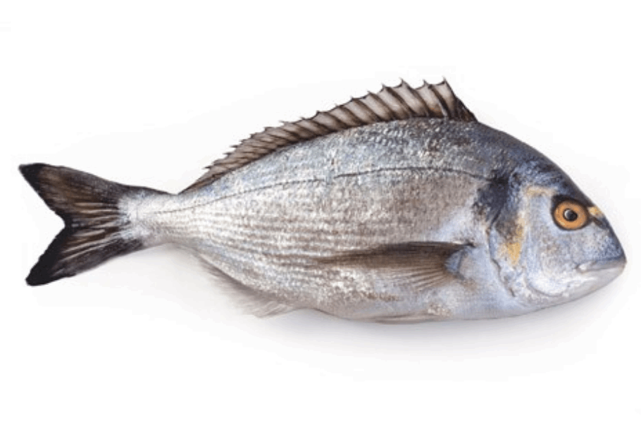 Chilled and frozen fish Դոռադո 300-400գ