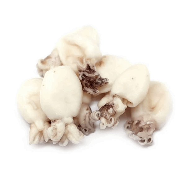 OCEAN FISH Замороженное морепродукты Կարակատիցա 40/60 1կգ