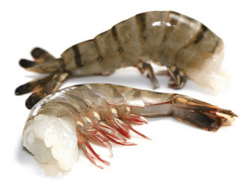 OCEAN FISH shrimp Ծովախեցգետին Սև Վագրային առանց գլխի 16/20 1կգ