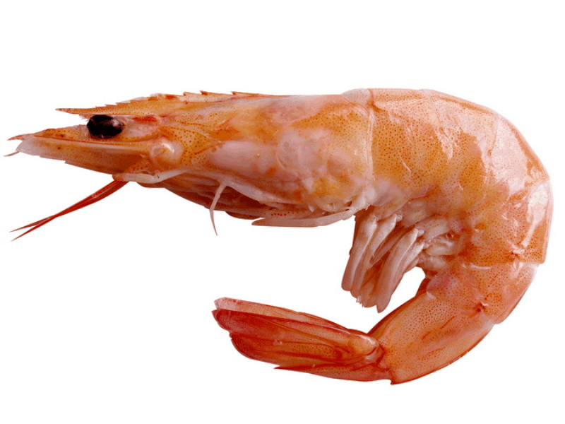 OCEAN FISH Ծովախեցգետին Ծովախեցգետին վանամեյ գլխով 70/80  կգ  D 21