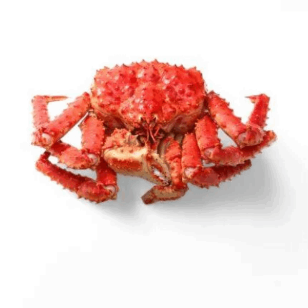 OCEAN FISH shrimp Կռաբ ամբողջական կգ