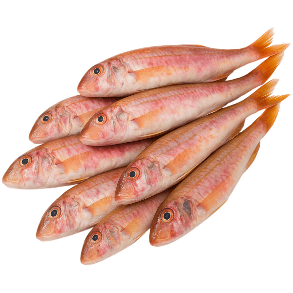 OCEAN FISH Chilled and frozen fish Ձուկ Բառաբուլյա սառեցված կգ