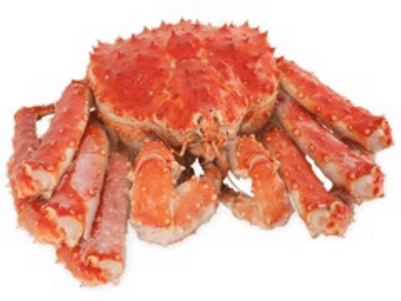 OCEAN FISH shrimp Կամչատկայի  Խաչափառ ամբողջական պատյանով 2-4 կգ A 01