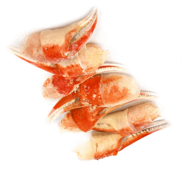 OCEAN FISH shrimp Ստրիգուն Օպիլյո խաչափառի մեծ տափակաբերանի միս 2 չանչով  1կգ A 10