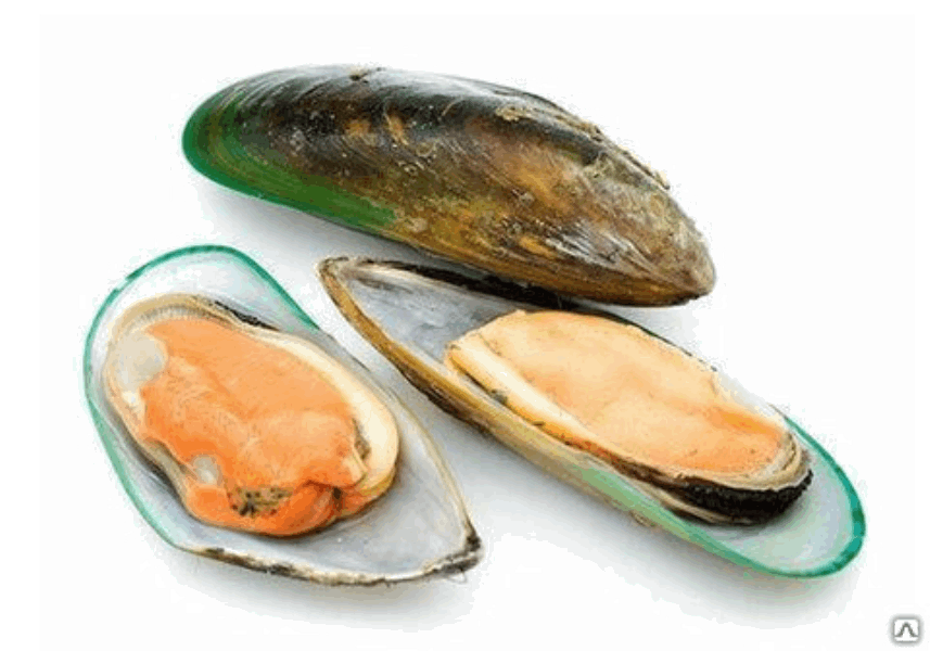 OCEAN FISH Замороженное морепродукты Միդի Կանաչ կգ