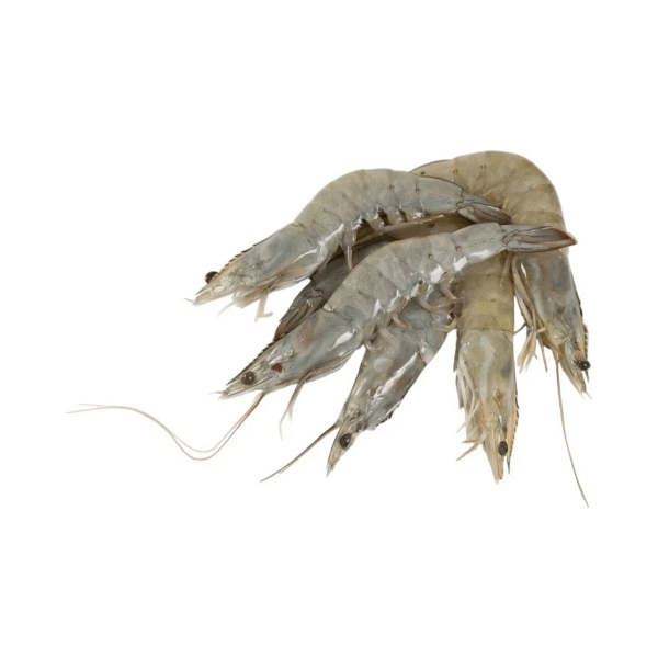 OCEAN FISH shrimp Ծովախեցգետին Վանամեյ գլխով  30/40 կգ  8800