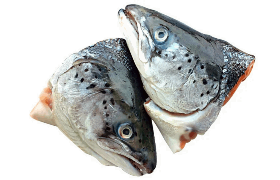 Chilled and frozen fish Գլուխ Սաղմոնի սառ /հատ/