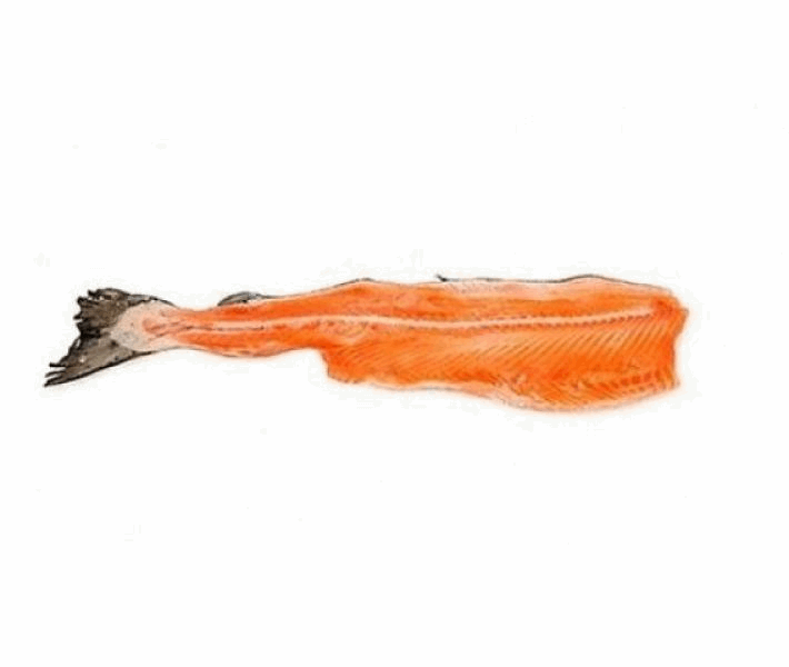OCEAN FISH Marinated and smoked fish Սաղմոնի Ողնաշար սառեցված