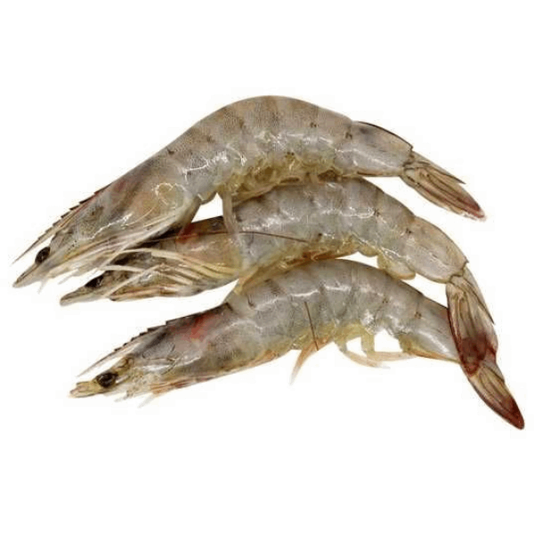 OCEAN FISH shrimp Ծովախեցգետին  վանամեյ գլխով 30/40 կգ P001