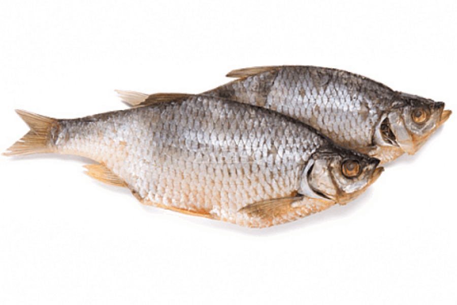 OCEAN FISH Սառեցվծ և թարմ ձկներ Կրասնոպյորկա չորացված կգ