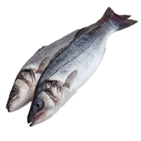 Սառեցվծ և թարմ ձկներ - Սիբաս 300-400