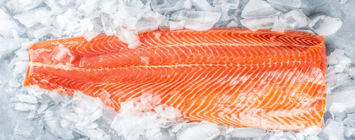 Սառեցվծ և թարմ ձկներ - Թարմ Սաղմոնի ֆիլե