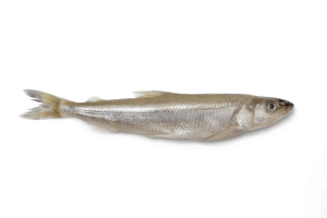 Սառեցվծ և թարմ ձկներ - Կորյուշկա /корюшка зубатка/ K 89