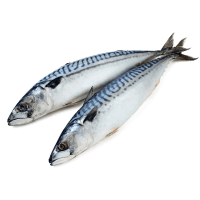 Սառեցվծ և թարմ ձկներ - Սկումբրիա սառեցված գլխով  400-600