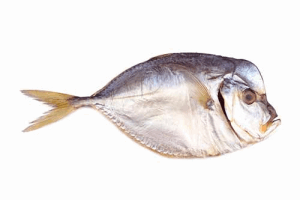 Սառեցված ծովամթերք OCEAN FISH Վոմեր սառեցված