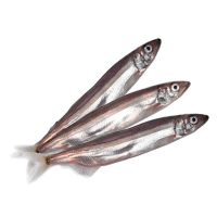 Սառեցվծ և թարմ ձկներ OCEAN FISH Մոյվա սառեցված