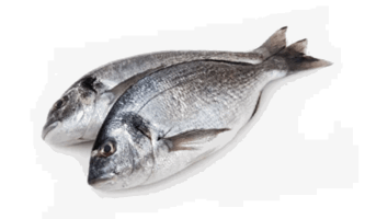 Պարագաներ - Բամբուկի թերթիկներ 29սմ