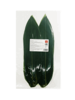 - - Բամբուկի թերթիկներ 29սմ