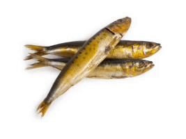 Սառեցվծ և թարմ ձկներ - Սարդինա ապխտած