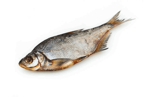 Սառեցվծ և թարմ ձկներ - Սինեց