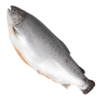 Սառեցվծ և թարմ ձկներ - Ֆարել սառեցված Նորվեգական  5-6կգ