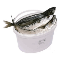 Սառեցվծ և թարմ ձկներ - Սկումբրիա մարինացված