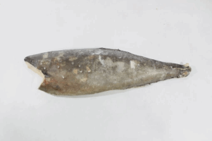 Սառեցվծ և թարմ ձկներ - Յուղաձուկ սառեցված