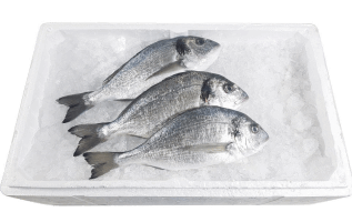 Սառեցվծ և թարմ ձկներ - Դորադո պաղեցված 300-400