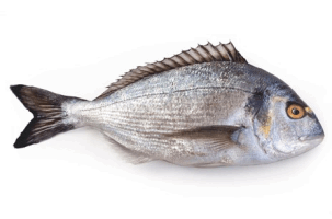 Սառեցվծ և թարմ ձկներ - Դոռադո  300-400գ 