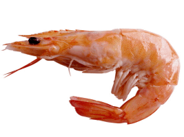 Ծովախեցգետին OCEAN FISH Ծովախեցգետին վանամեյ գլխով 70/80 կգ D 21