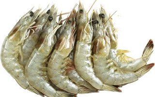 Ծովախեցգետին OCEAN FISH Ծովախեցգետին վանամեյ գլխով 20/30 կգ