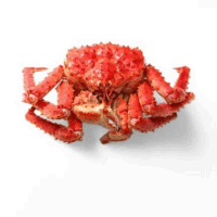 Ծովախեցգետին OCEAN FISH Կռաբ ամբողջական կգ 