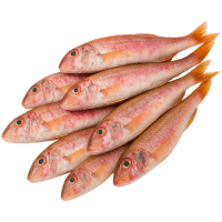 Սառեցվծ և թարմ ձկներ OCEAN FISH Ձուկ Բառաբուլյա  սառեցված կգ 