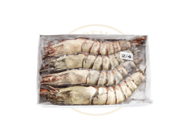 Ծովախեցգետին OCEAN FISH Ծովախեցգետին   Սև Վագրային  գլխով  2/4 կգ  4271