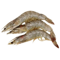 Ծովախեցգետին OCEAN FISH Ծովախեցգետին   վանամեյ  գլխով  40/50  կգ P002