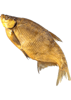 Ապխտած և մարինացված ձկներ OCEAN FISH Լեշ /Лещ  միջին  սառը ապխտած