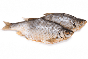 Սառեցվծ և թարմ ձկներ OCEAN FISH Կրասնոպյորկա չորացված կգ